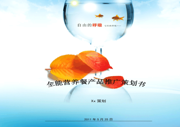 全能营养餐促销策划书
